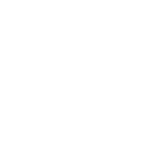 Ejecución Precisa Icon