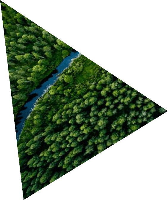 Polygon Abstract Graphic